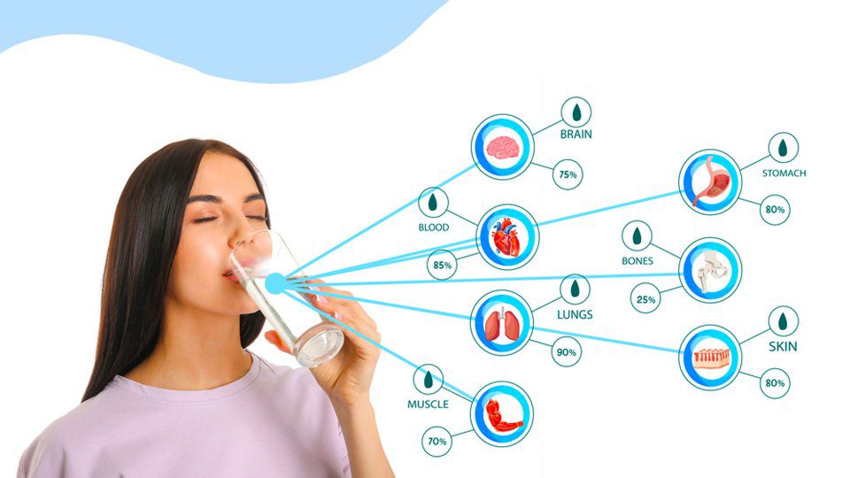 Su Tüketiminin Sağlığa Faydaları