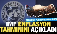 IMF’nin 2025 Türkiye Ekonomisi Raporu: Riskler ve Öngörüler