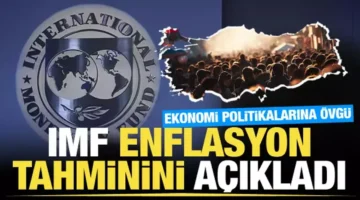 IMF’nin 2025 Türkiye Ekonomisi Raporu: Riskler ve Öngörüler